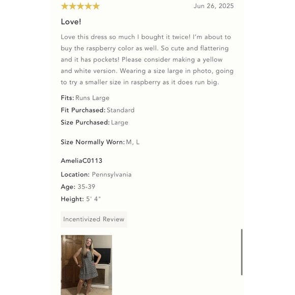 NWT Size L - Anthropologie Apron-Style Mini Dress (NWT US$ 158) - Picture 12 of 15